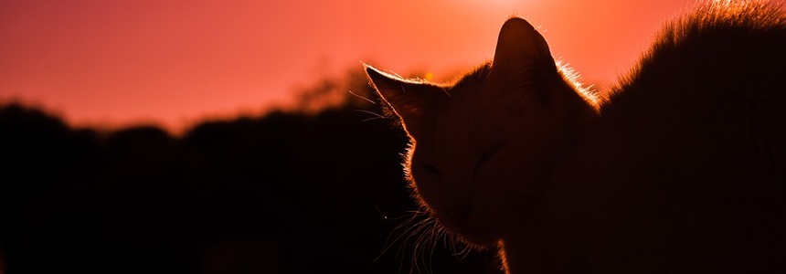 Sunset 3017627 960 720